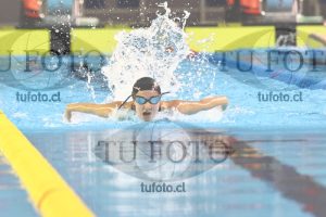 Image 100 M M 0048