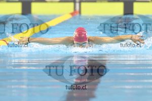Image 100 M M 0050