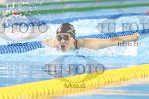 Image 100 M M 0052