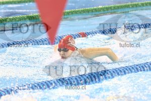 Image 100 M M 0053