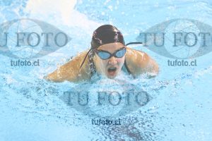 Image 100 M M 0056