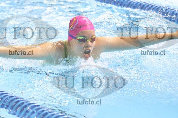 Image 100 M M 0057