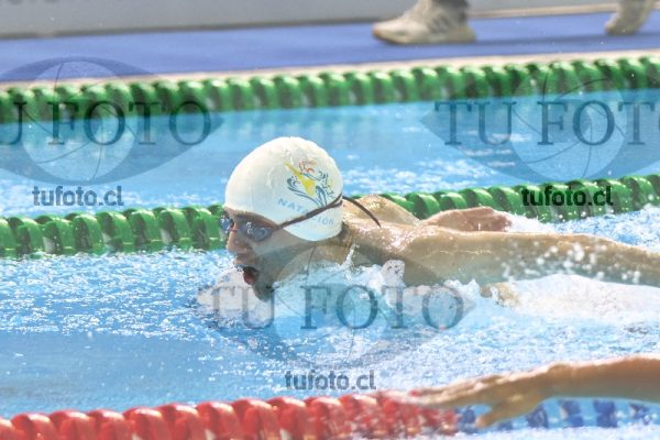 Image 100 M H 0065