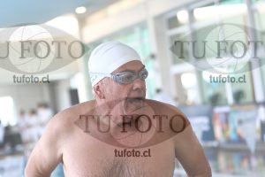 Image mariposa 00065