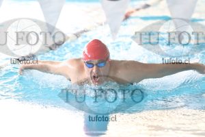 Image mariposa 00077