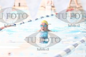 Image pecho 00026