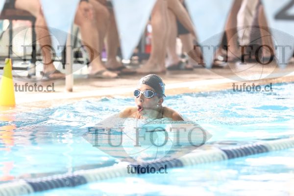 Image pecho 00072