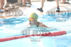 Image pecho 00179