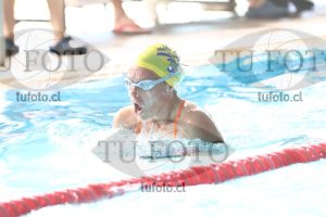 Image pecho 00279