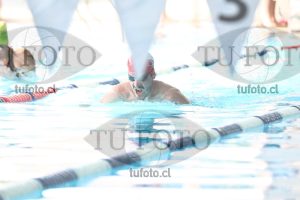 Image pecho 00307