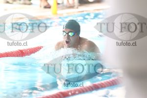 Image pecho 00333