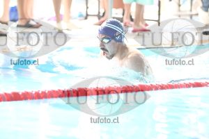 Image pecho 00343