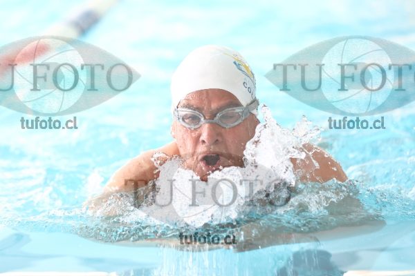 Image pecho 00366