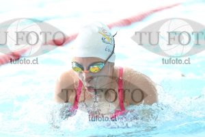 Image pecho 00367