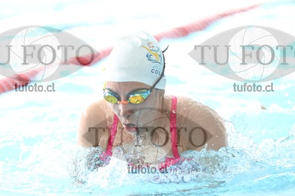 Image pecho 00367