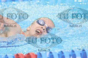 Image NI 400 libre D 00108