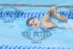 Image NI 400 libre D 00133