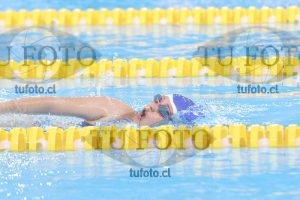 Image NI 400 libre D 00160