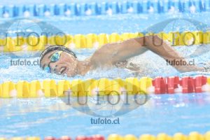 Image NI 400 libre V 00043