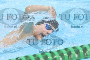 Image NI 400 libre V 00117