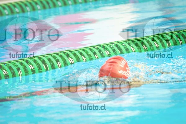 Image NI 200c D 00451