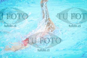 Image NI 200c D 00514