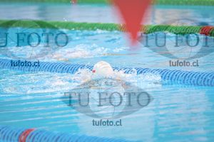 Image NI 200c D 00549
