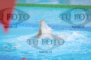 Image NI 200c D 00532