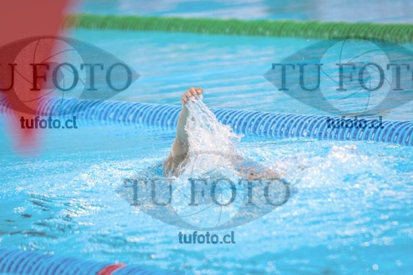 Image NI 200c D 00532