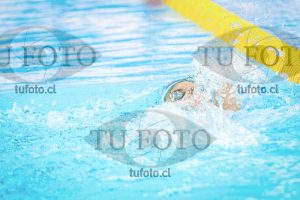 Image NI 200c D 00617
