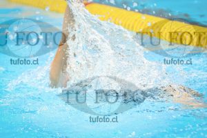 Image NI 200c D 00833