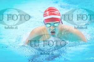 Image NI 200 CV 00050