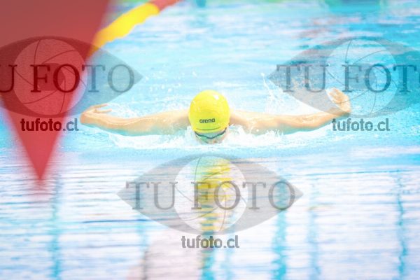 Image NI 200 CV 00058