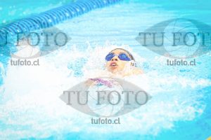 Image NI 200c V 00079