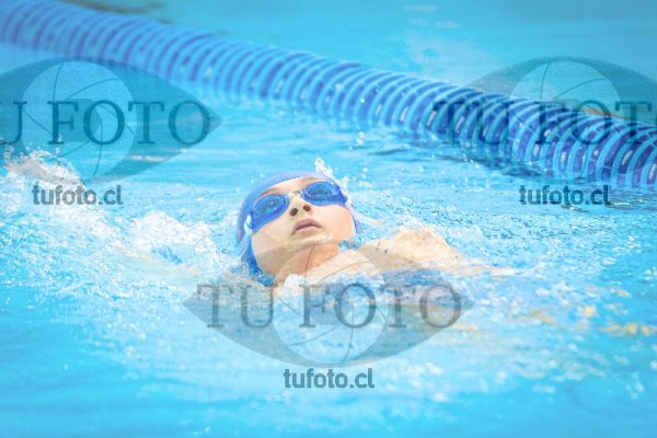 Image NI 200c V 00106