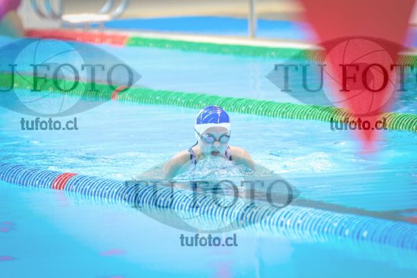 Image NI 100 PD 00005