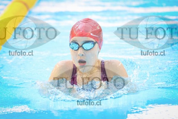 Image NI 100 PD 00013