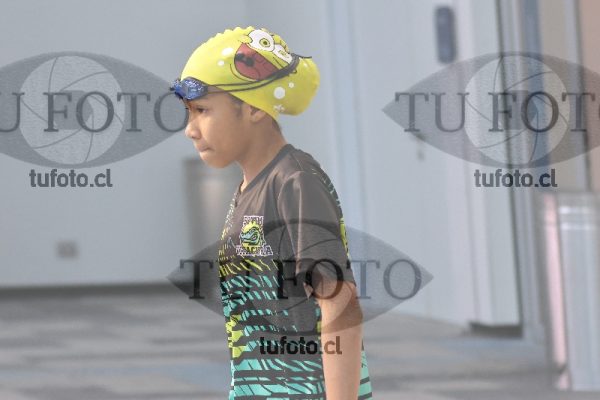 Image NI 100 LD 00183