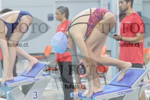 Image NI 100 LD 00215