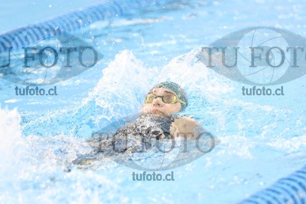 Image NI 100 ED 00011