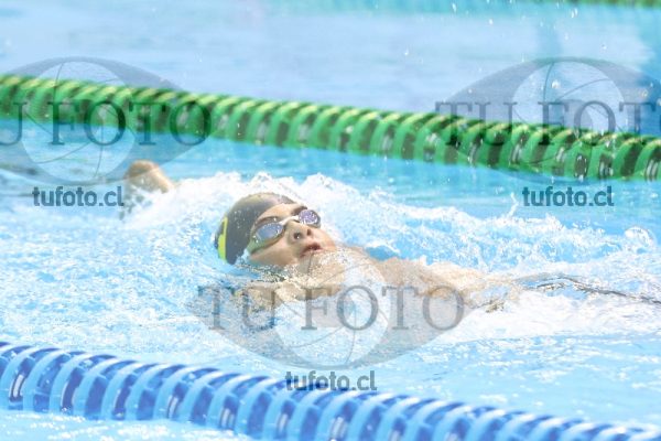 Image NI 400CV 00020