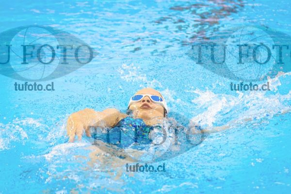 Image NI 100 ED 00005
