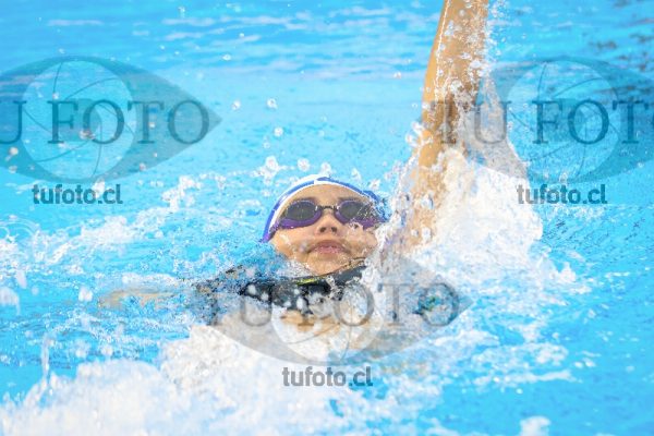 Image NI 100 ED 00019
