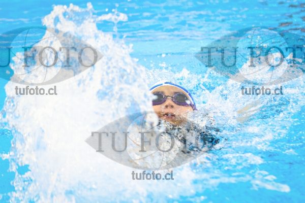 Image NI 100 ED 00020