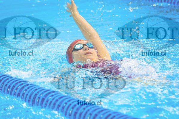Image NI 100 ED 00043