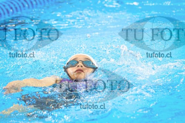 Image NI 100 ED 00061