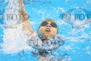 Image NI 100 ED 00163