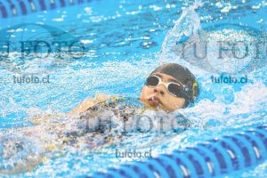 Image NI 100 ED 00166