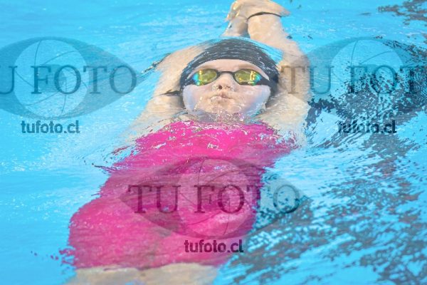Image NI 100 ED 00203
