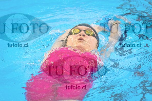Image NI 100 ED 00204